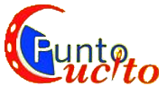 Logo Punto Cucito
