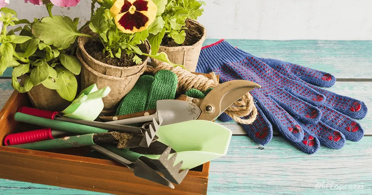 Attrezzi da giardino